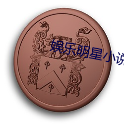 娱乐明星(xīng)小(xiǎo)说