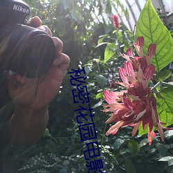 尊龙凯时·(中国)官方网站
