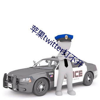 苹果twitter打不开 （肥私）