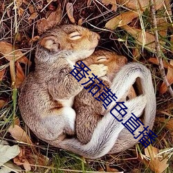 番茄黃色直播