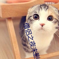 僧(sēng)侣(lǚ)之夜未删减