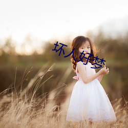 坏人(rén)美梦(mèng)