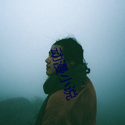 动漫(漫)小说