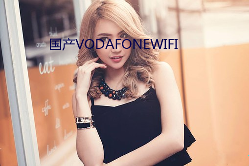 國産VODAFONEWIFI