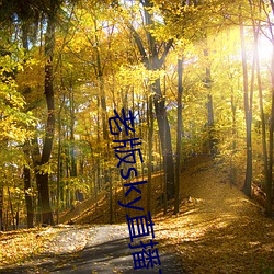 老版sky直播下載