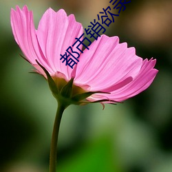AG真人平台(中国)官方网站