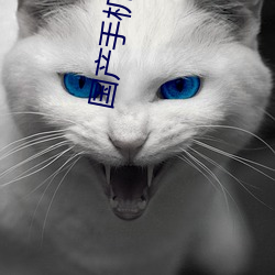国产手(手)机(機)自拍(拍)