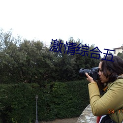 激情综合五