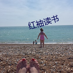 红袖读书