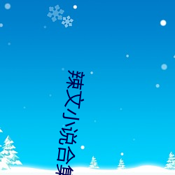 辣文小說合集