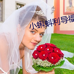 小蝌蚪利导福航