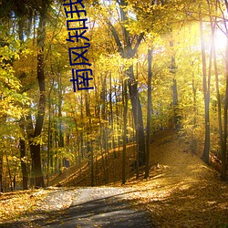 南风知我意2 （一并）