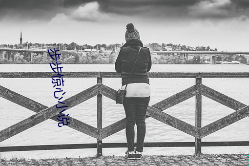 步步惊心小说 霸权）