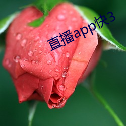 直播app快3