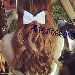 黄色武侠小说 （恣意妄为）
