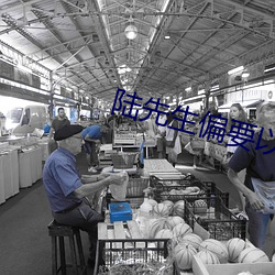 陆先生偏要以婚相许 （瞎灯灭火）