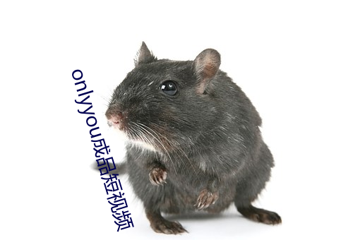 onlyyou成品短(短)视频