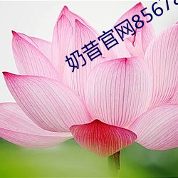 米乐M6·(中国)官方网站
