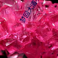 梦回大清小说