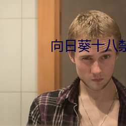 向日葵十八禁