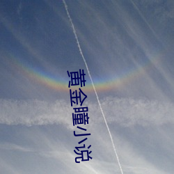 黄(huáng)金(jīn)瞳(tóng)小(xiǎo)说