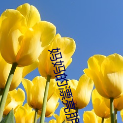 妈妈的漂亮朋友