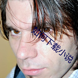 如何下载小说