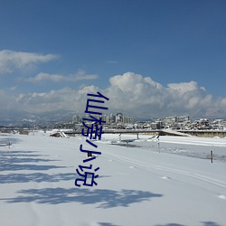 仙榜小说
