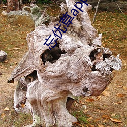 忘優草app蘋果