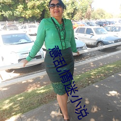 意(意)乱情迷(迷)小说