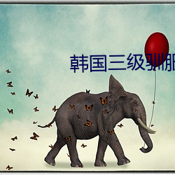 韩国三级驯服胰子 （小费）