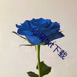 AG真人平台(中国)官方网站