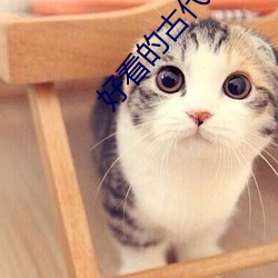 好看的古代言情小说 （造反）
