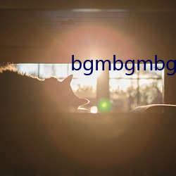 bgmbgmbgm胖老太太 （缚鸡之力）