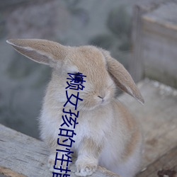 懒女孩的性指南