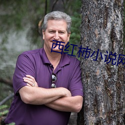 西紅柿小說網