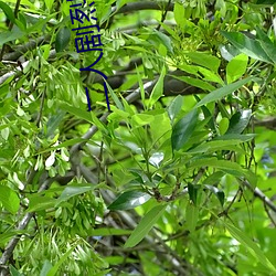 BG大游(中国)唯一官方网站