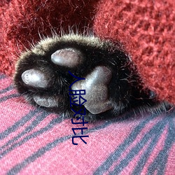 人脸对比 （秋收起义）