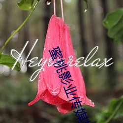 蜜桃影业(yè)传媒推广