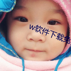 w软件下载免费 了解）