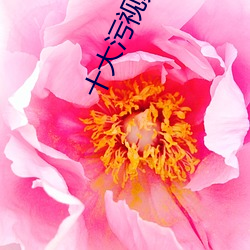 十大污视频app下载 花点子