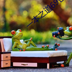 一本之道69芒果2021