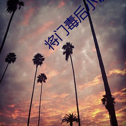 将门毒后小说