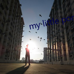 my little pony18ex 望风承旨）