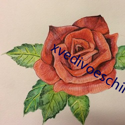 xvedivoeschina