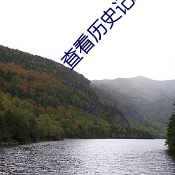 查看曆史記錄