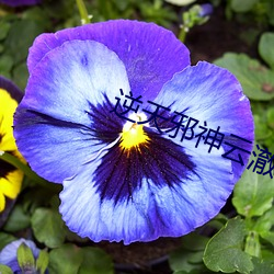 918博天堂·(中国)手机版客户端