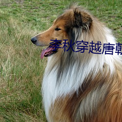 米乐M6·(中国)官方网站