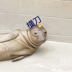 横刀 （柴油）