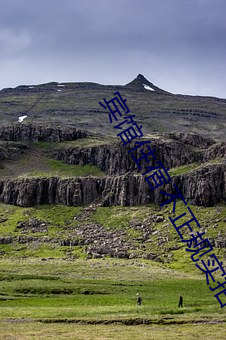 九游会登录j9入口 - 中国官方网站 | 真人游戏第一品牌